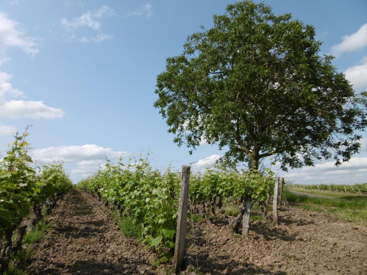 L'Etape Troglo Ξενοδοχείο Vouvray Εξωτερικό φωτογραφία